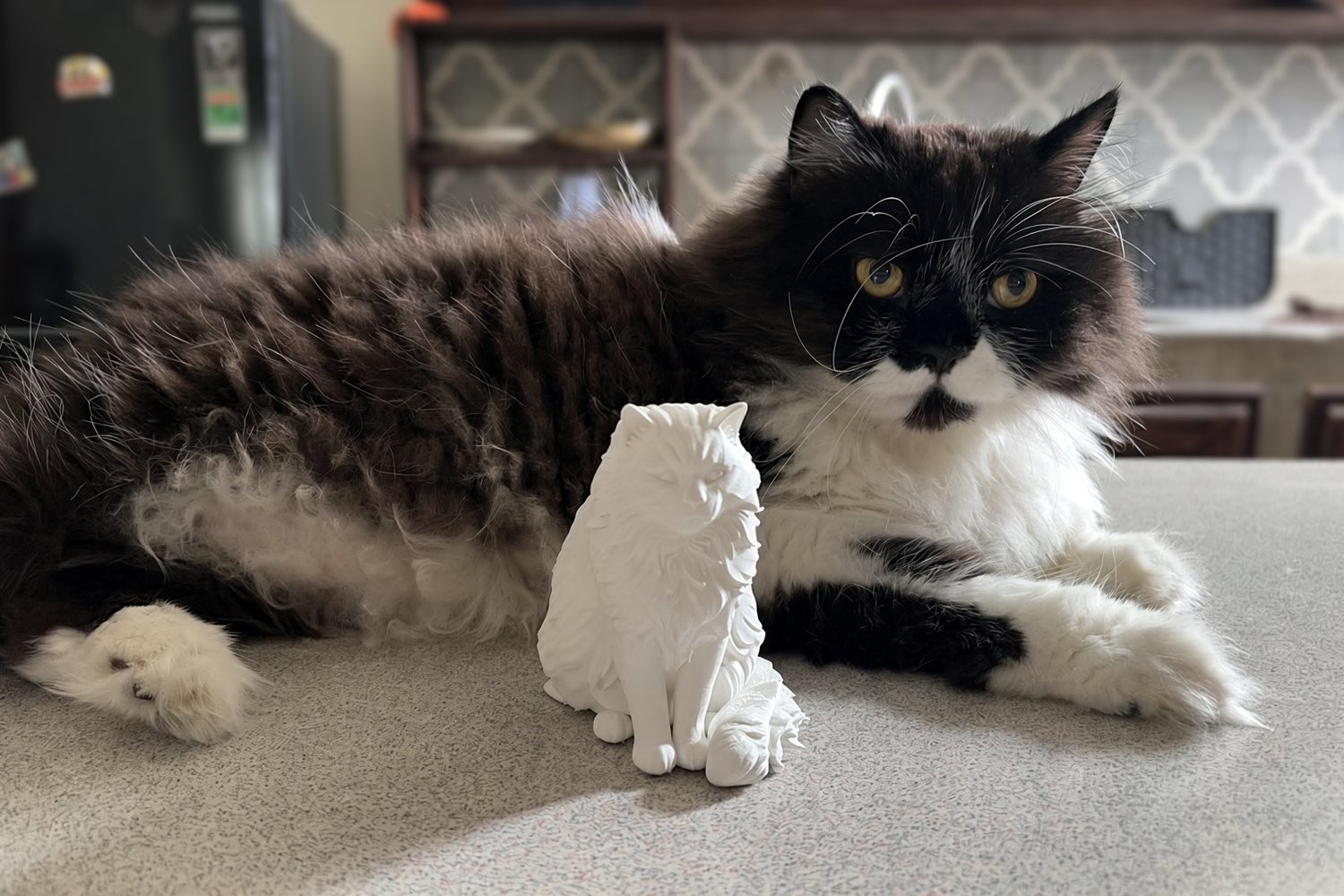 The real black and white cat lying next to its unpainted white miniature